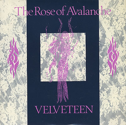 The-Rose-Of-Avalanche-Velveteen-378341
