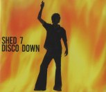 Shed-Seven-Disco-Down-458513
