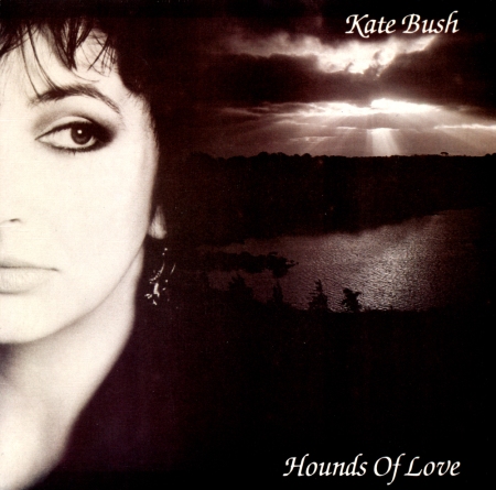 hounds_of_love_single