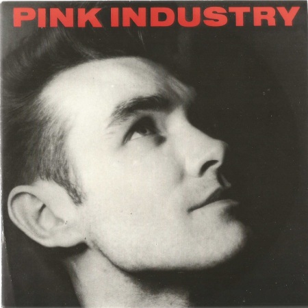 pink-industry-what-i-wouldnt-give-zulu