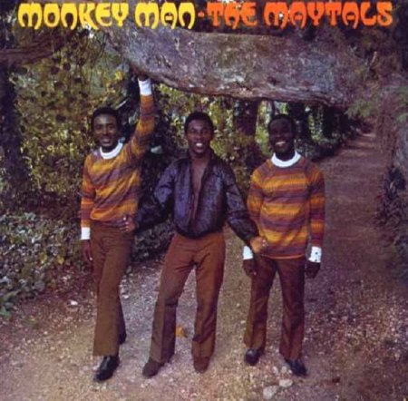 toots and the maytals Monkey Man