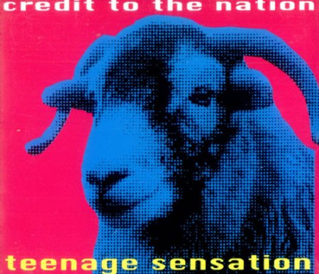 CREDIT_TO_THE_NATION_TEENAGE+SENSATION-519836b