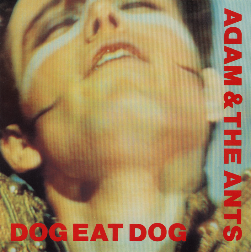 Adam - Dog